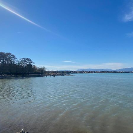 The Sunny Lake - Apartment With Pool Desenzano del Garda Exterior foto